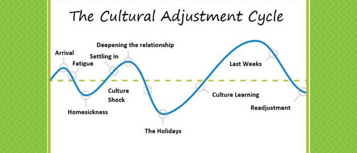 cultural-adjustment-cycle